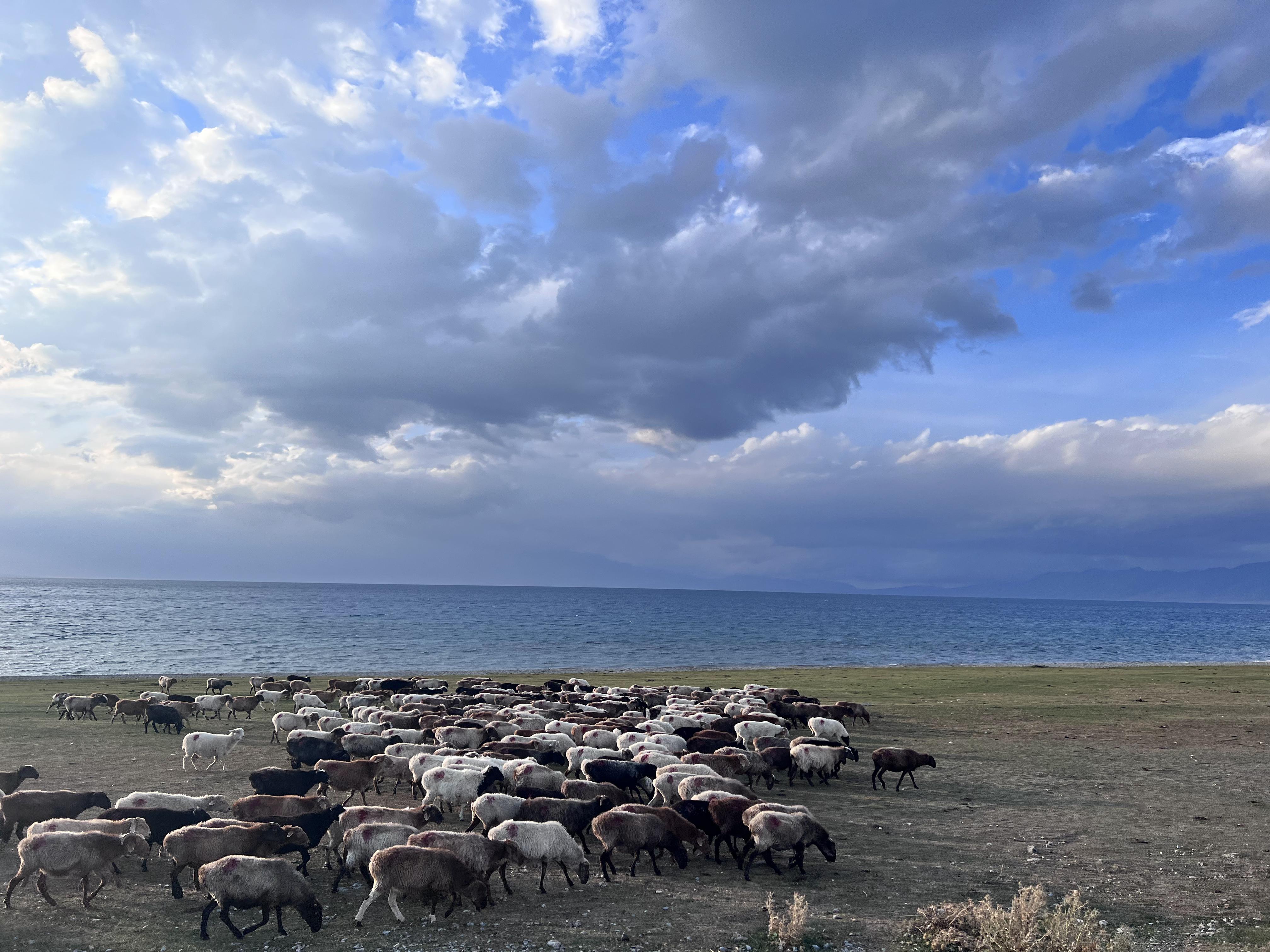 微信图片_20250825231500_315_1151